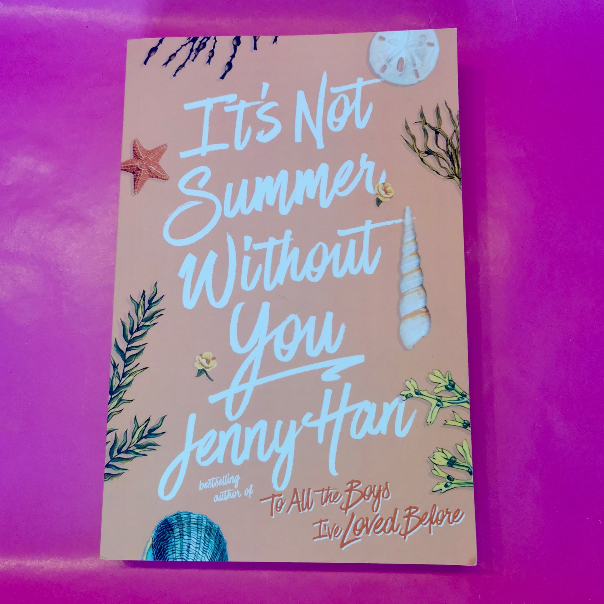  It's Not Summer Without You: 9781416995562: Han, Jenny: Books